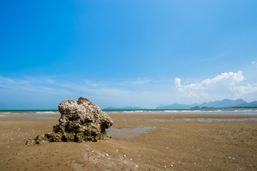 Poster - beach and blue sky background