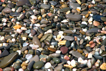 Wall Mural - Coastal, wet, sea, small stones, lie on the beach. The background for the desktop.