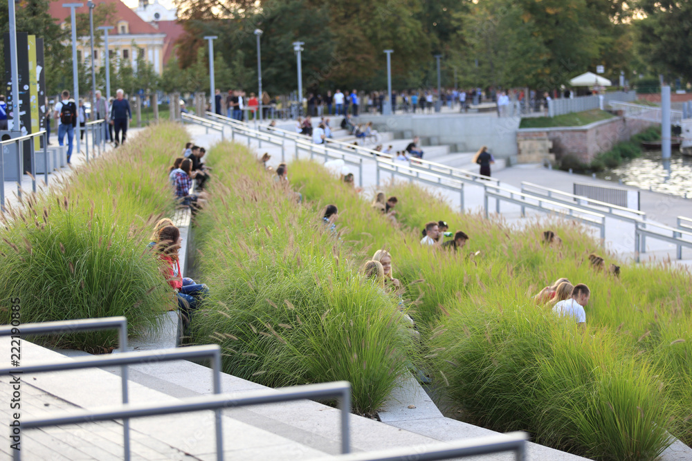 Młodzi ludzie w zielonej trawie w zatoce rzeki Odra we Wrocławiu. - obrazy, fototapety, plakaty 