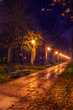 Alley in the park in the night covered in leaves