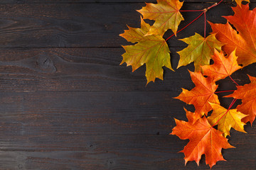 Wall Mural - autumn leaf on wood black background orange leaf on old grunge wood deck, copy place for inscription