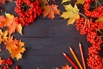 Wall Mural - autumn leaf on wood black background orange leaf on old grunge wood deck, copy place for inscription