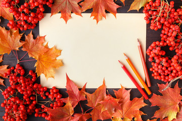 Wall Mural - autumn leaf composition for picture frame. copy space.
