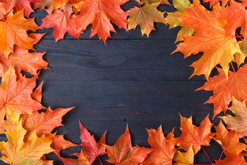 Wall Mural - autumn leaf composition for picture frame. copy space.