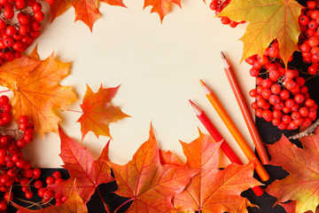 Sticker - bright autumn leaves and text; generic fall background, perfect for sale banners, wedding invitation