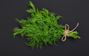 Poster - Bouquet of fresh dill bandaged with rope