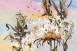 watercolor meadow dandelions