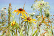 watercolor wildflower meadow