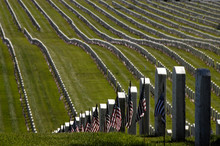 The Real Price Of War. Hundreds Of Thousands Of American Flags Are Placed Next To Each Headstone By Girl And Boy Scouts Each Memorial Day, Golden Gate National Cemetery, San Bruno, California 