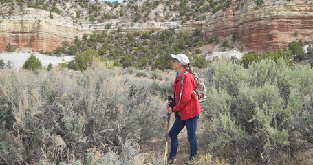 Wall Mural - Retired Caucasian woman hiking through dry vegetation in Zion Utah