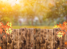 Wooden Fence In The Garden With Fall Background In Autumn Season
