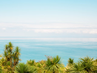 Wall Mural - Beautiful palm trees with sea on blue sky background