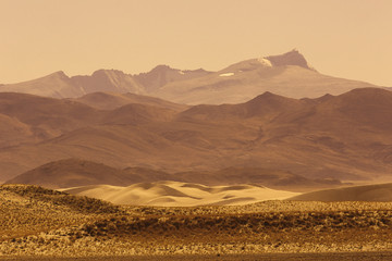 Wall Mural - desert landscape of nature