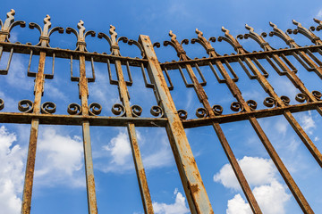 Wall Mural - Old gate rusty