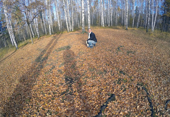 Wall Mural - woman in a clearing with bright fallen leaves in an autumn forest