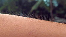 MACRO, DOF: Unknown person gets goosebumps during a cold tropical rainstorm.