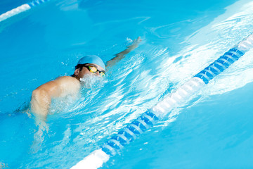 Wall Mural - Freestyle swimmer in swimming pool