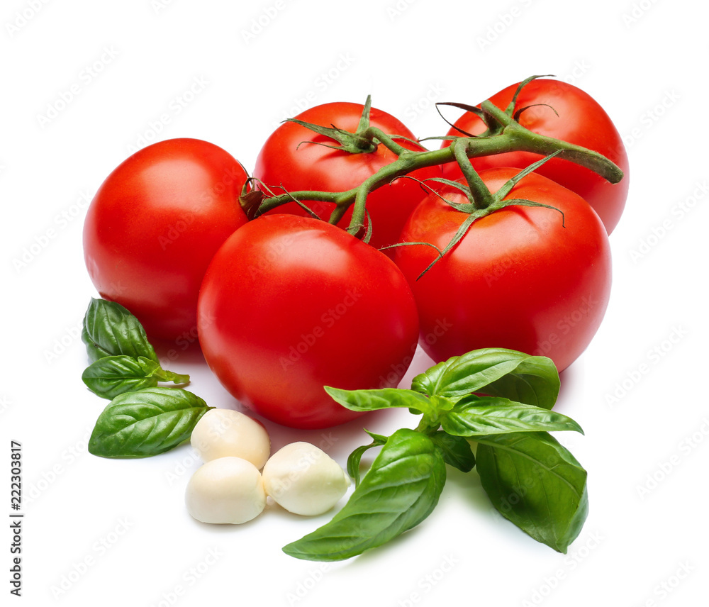 Delicious tomatoes, mozzarella cheese and fresh basil on white background