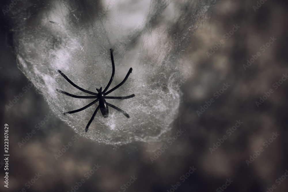 Spider in web as decor for Halloween party