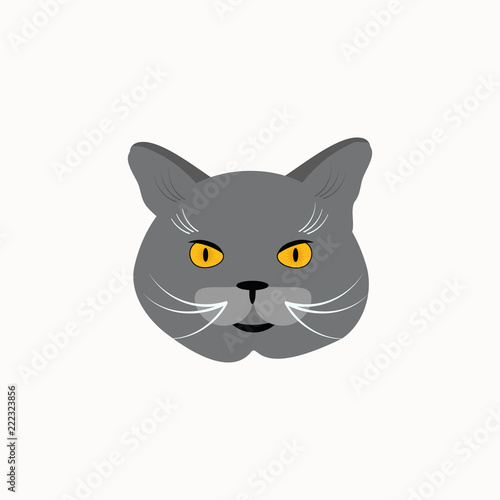 Cat Breed British Shorthair Face Vector Illustration Buy This