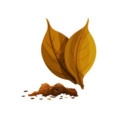 Wall Mural - two whole dry leaves and small heap of shredded tobacco for smoking. decorative flat vector element 