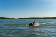 © DZiegler - Man swimming in a lake, open water swim in summer