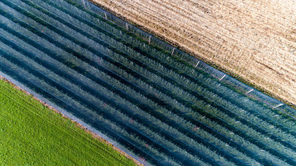 plantations with anti-hail nets view from above 