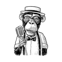 Wall Mural - Monkey dressed hat, shirt, bow tie holding microphone. Engraving