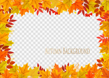 Abstract Autumn Frame With Colorful Leaves On Transparent Background. Vector