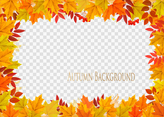 Poster - Abstract autumn frame with colorful leaves on transparent background. Vector