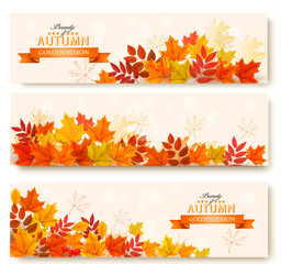 Aufkleber - Three abstract autumn banners with colorful leaves. Vector