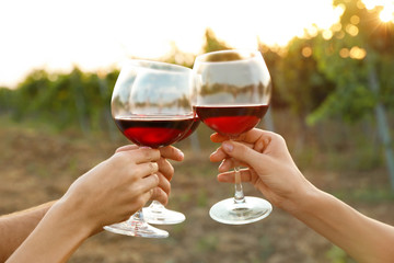 Wall Mural - Friends holding glasses of wine on vineyard picnic