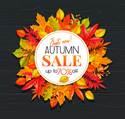 Wall Mural - Seasonal autumn banner