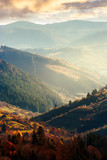 Fototapeta Fototapety góry  - beautiful afternoon in mountains. lovely autumn weather. nearest forest in colorful foliage. distant mountain in haze. vertical