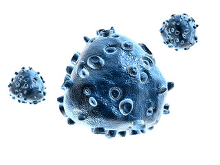 Wall Mural - 3d rendering Virus bacteria cells in white background