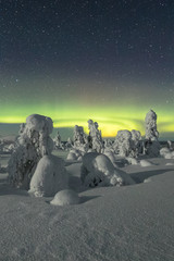 Wall Mural - Colorful Northern lights (Aurora borealis) above snowy wilderness in Lapland