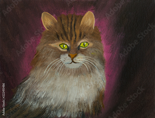 Katze Mit Gestreiftem Fell Vor Rosa Hintergrund Buy This Stock