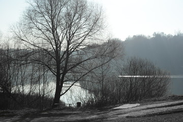  frozen blues