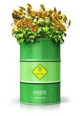 Wall Mural - Green biofuel drum with sunflowers isolated on white background