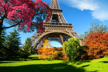 Wall Mural - trees in park of paris in autumn