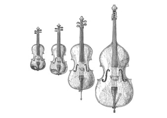 Canvas Print - Bowed string instruments