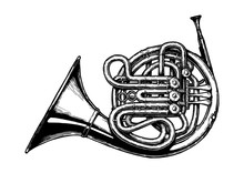 Vintage Illustration Of French Horn