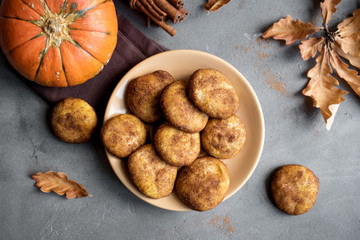 Poster - Pumpkin Snickerdoodle Cookies