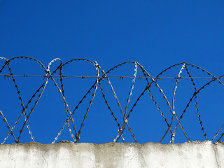 barbed wire