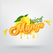 Mango Juice Brand Company Vector Logo Design