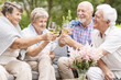 © Photographee.eu - A toast made by happy senior women and men to celebrate the beautiful summer afternoon during their leisure time together. Smiling elderly couples with wine glasses.