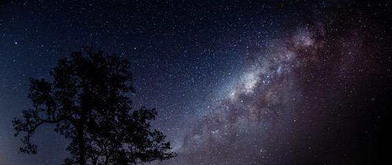 Wall Mural - Milky Way registered in South America in the fall.