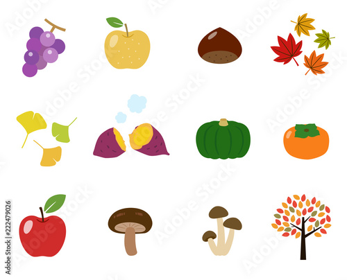 秋の味覚 イラストアイコンセット Stock Vector Adobe Stock