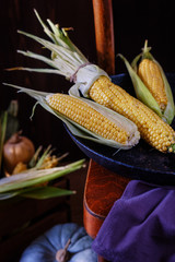 Wall Mural - still life in rustic style from a fresh corn crop