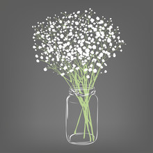 White Flowers Bouquet. Gypsophila Flowers. Transparent Clear Glass Jar. Grey Background. Vector Illustration.